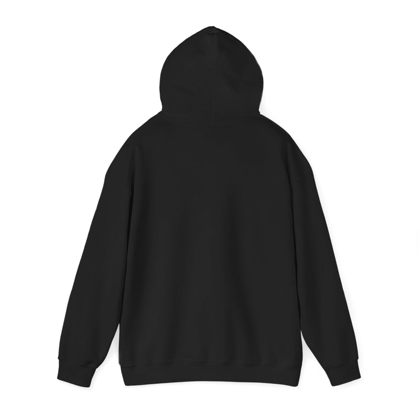 INTERGALACTIC FUNCTION (Black) Heavy Blend™ Hoody