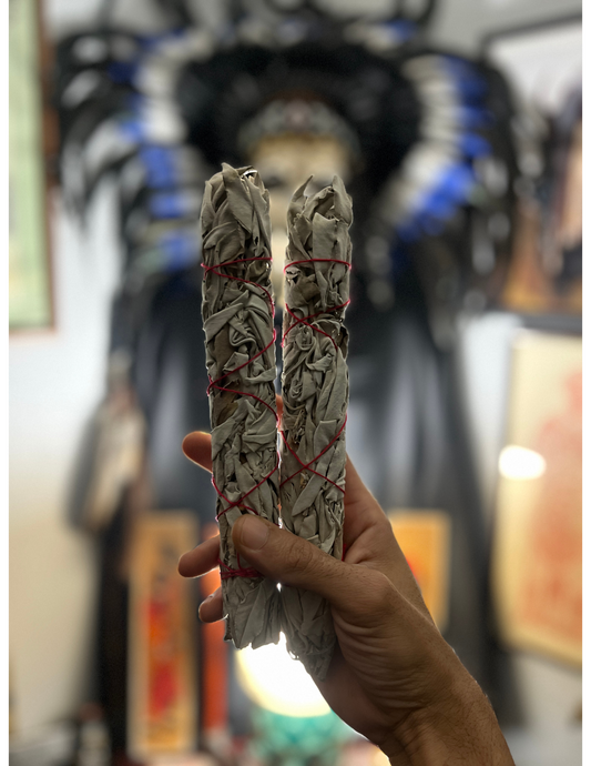ANOINTED 9-Inch Ceremonial White Sage (2Piece)